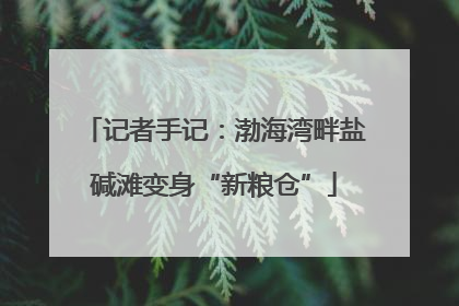 记者手记：渤海湾畔盐碱滩变身“新粮仓”