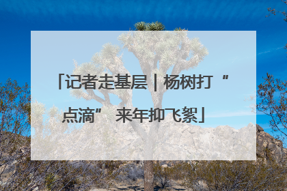 记者走基层｜杨树打“点滴” 来年抑飞絮
