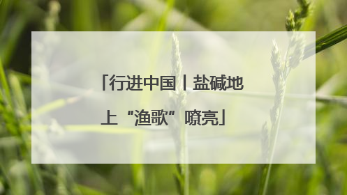 行进中国丨盐碱地上“渔歌”嘹亮