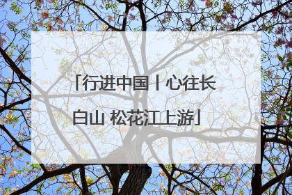 行进中国丨心往长白山 松花江上游