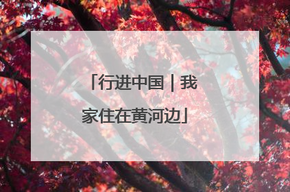 行进中国｜我家住在黄河边