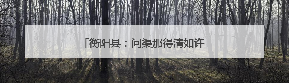 衡阳县：问渠那得清如许 “民声”变“民生”更畅通