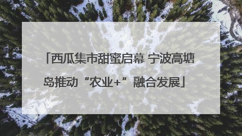 西瓜集市甜蜜启幕 宁波高塘岛推动“农业+”融合发展