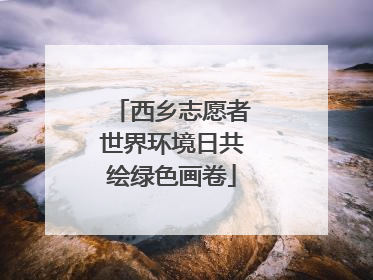 西乡志愿者世界环境日共绘绿色画卷