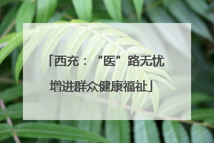 西充：“医”路无忧 增进群众健康福祉