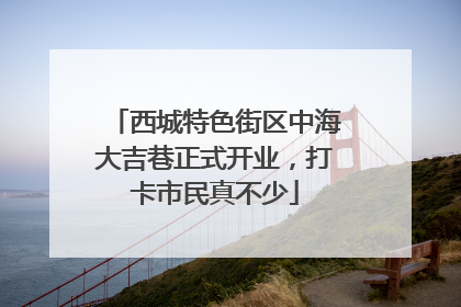 西城特色街区中海大吉巷正式开业，打卡市民真不少