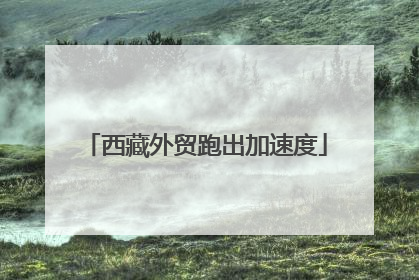 西藏外贸跑出加速度