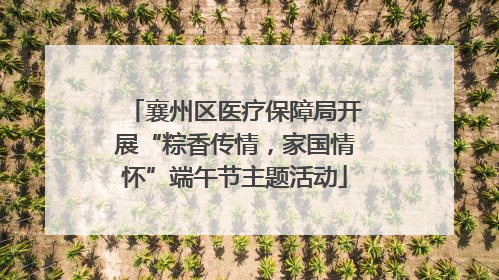 襄州区医疗保障局开展“粽香传情，家国情怀”端午节主题活动
