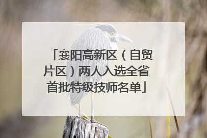 襄阳高新区（自贸片区）两人入选全省首批特级技师名单