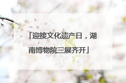 迎接文化遗产日，湖南博物院三展齐开