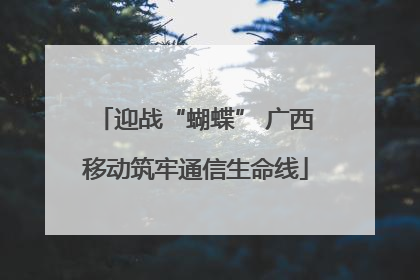 迎战“蝴蝶” 广西移动筑牢通信生命线