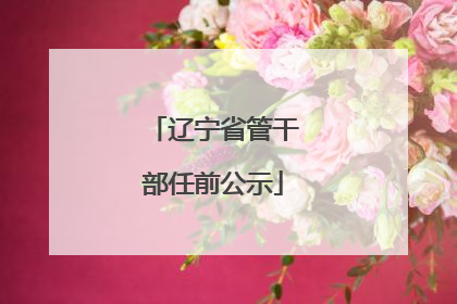 辽宁省管干部任前公示