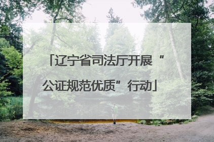 辽宁省司法厅开展“公证规范优质”行动