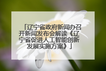 辽宁省政府新闻办召开新闻发布会解读《辽宁省促进人工智能创新发展实施方案》