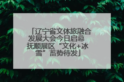 辽宁省文体旅融合发展大会今日启幕 抚顺展区“文化+冰雪”蓄势待发