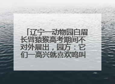辽宁一动物园白眉长臂猿猴高考期间不对外展出，园方：它们一高兴就喜欢鸣叫，怕影响考试