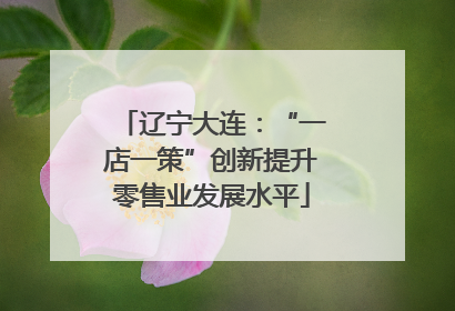 辽宁大连：“一店一策”创新提升零售业发展水平
