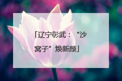 辽宁彰武：“沙窝子”焕新颜