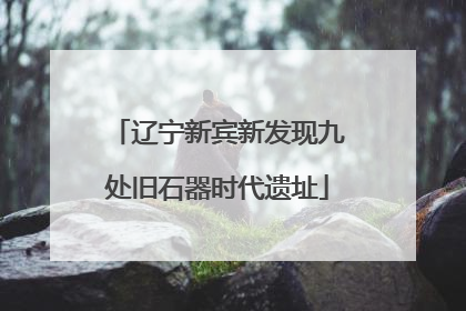 辽宁新宾新发现九处旧石器时代遗址