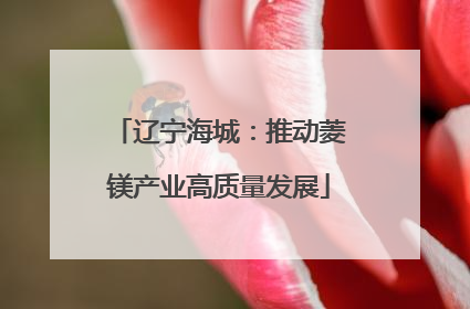 辽宁海城：推动菱镁产业高质量发展