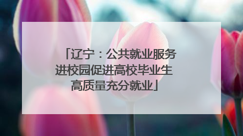 辽宁：公共就业服务进校园促进高校毕业生高质量充分就业