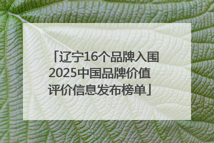辽宁16个品牌入围2025中国品牌价值评价信息发布榜单