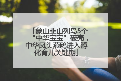象山韭山列岛5个“中华宝宝”破壳，中华凤头燕鸥进入孵化育儿关键期