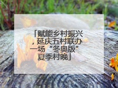 赋能乡村振兴，延庆五村联办一场“冬奥版”夏季村晚