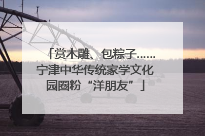 赏木雕、包粽子……宁津中华传统家学文化园圈粉“洋朋友”