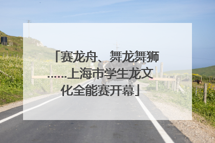 赛龙舟、舞龙舞狮……上海市学生龙文化全能赛开幕