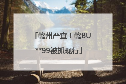 赣州严查！赣BU**99被抓现行