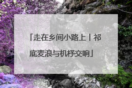 走在乡间小路上丨祁底麦浪与机杼交响