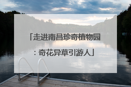 走进南昌珍奇植物园：奇花异草引游人