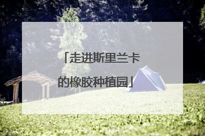 走进斯里兰卡的橡胶种植园