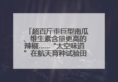 超百斤重巨型南瓜、维生素含量更高的辣椒……“太空味道”在航天育种试验田里拔节生长