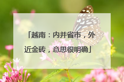 越南：内并省市，外近金砖，意思很明确