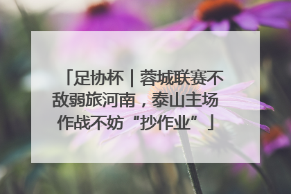 足协杯｜蓉城联赛不敌弱旅河南，泰山主场作战不妨“抄作业”