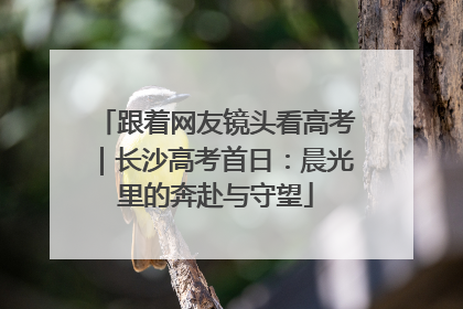 跟着网友镜头看高考｜长沙高考首日：晨光里的奔赴与守望