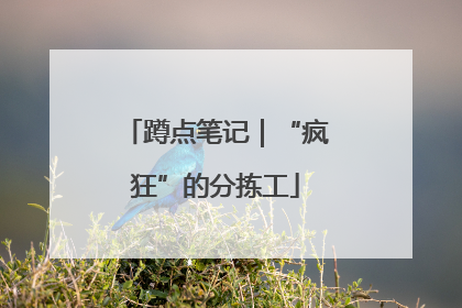 蹲点笔记｜“疯狂”的分拣工