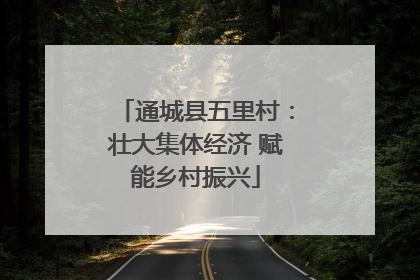 通城县五里村：壮大集体经济 赋能乡村振兴