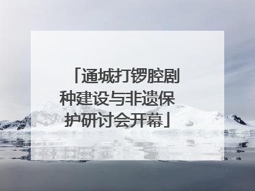 通城打锣腔剧种建设与非遗保护研讨会开幕