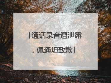 通话录音遭泄露，佩通坦致歉