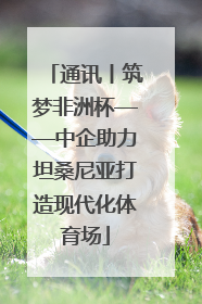 通讯丨筑梦非洲杯——中企助力坦桑尼亚打造现代化体育场
