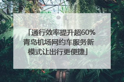 通行效率提升超60% 青岛机场网约车服务新模式让出行更便捷