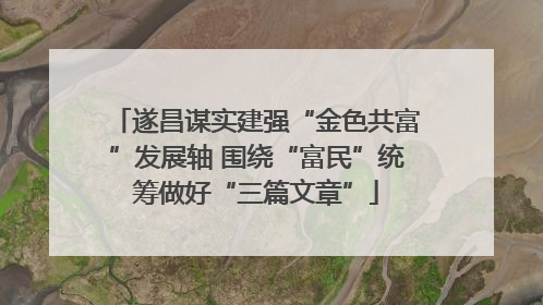 遂昌谋实建强“金色共富”发展轴 围绕“富民”统筹做好“三篇文章”