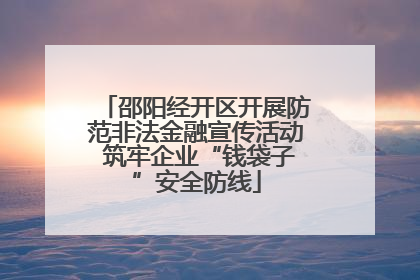 邵阳经开区开展防范非法金融宣传活动 筑牢企业“钱袋子”安全防线