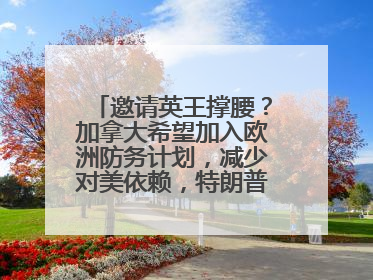 邀请英王撑腰？加拿大希望加入欧洲防务计划，减少对美依赖，特朗普：成为美国第51个州，免费用“金穹”
