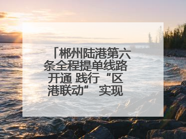 郴州陆港第六条全程提单线路开通 践行“区港联动” 实现“半日通关”