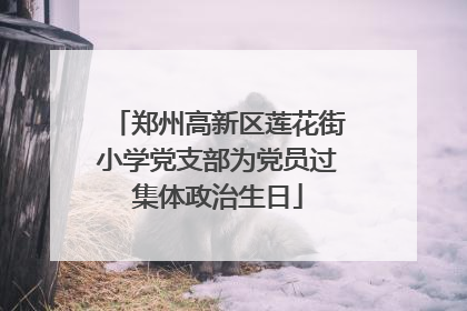 郑州高新区莲花街小学党支部为党员过集体政治生日