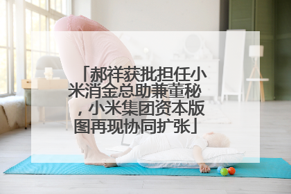 郝祥获批担任小米消金总助兼董秘，小米集团资本版图再现协同扩张